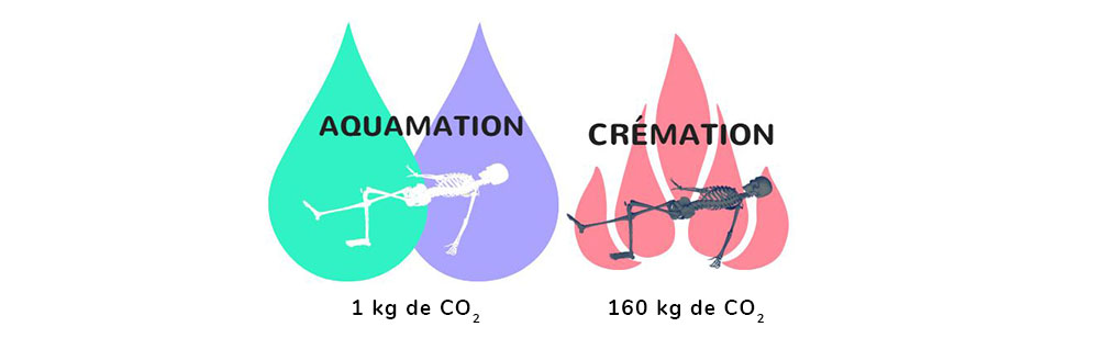 Comparatif entre l'aquamation et la crémation en termes d'émission de CO2