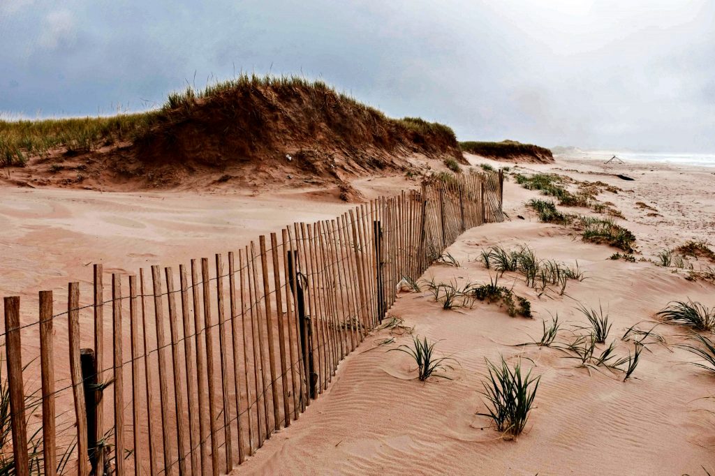 Les ganivelles sont des clôtures en lattes qui accélèrent l’accumulation de sable. (© Simon Diotte / Unpointcinq)