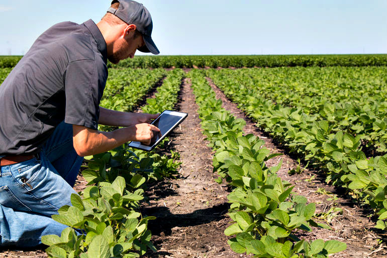 Agriculture innovation_Fermier tablette