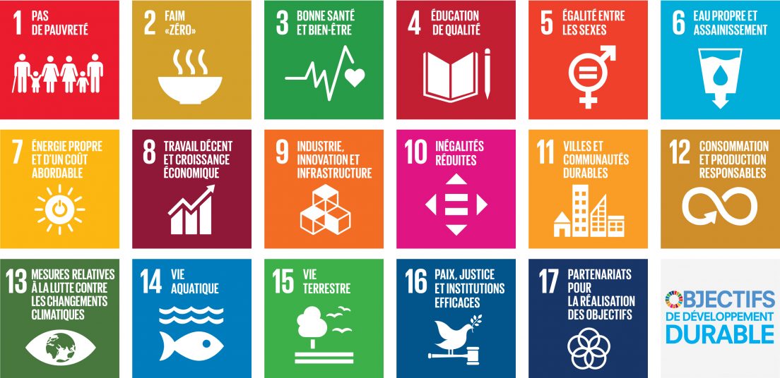 Les 17 Objectifs de développement durable (ODD) des Nations Unies