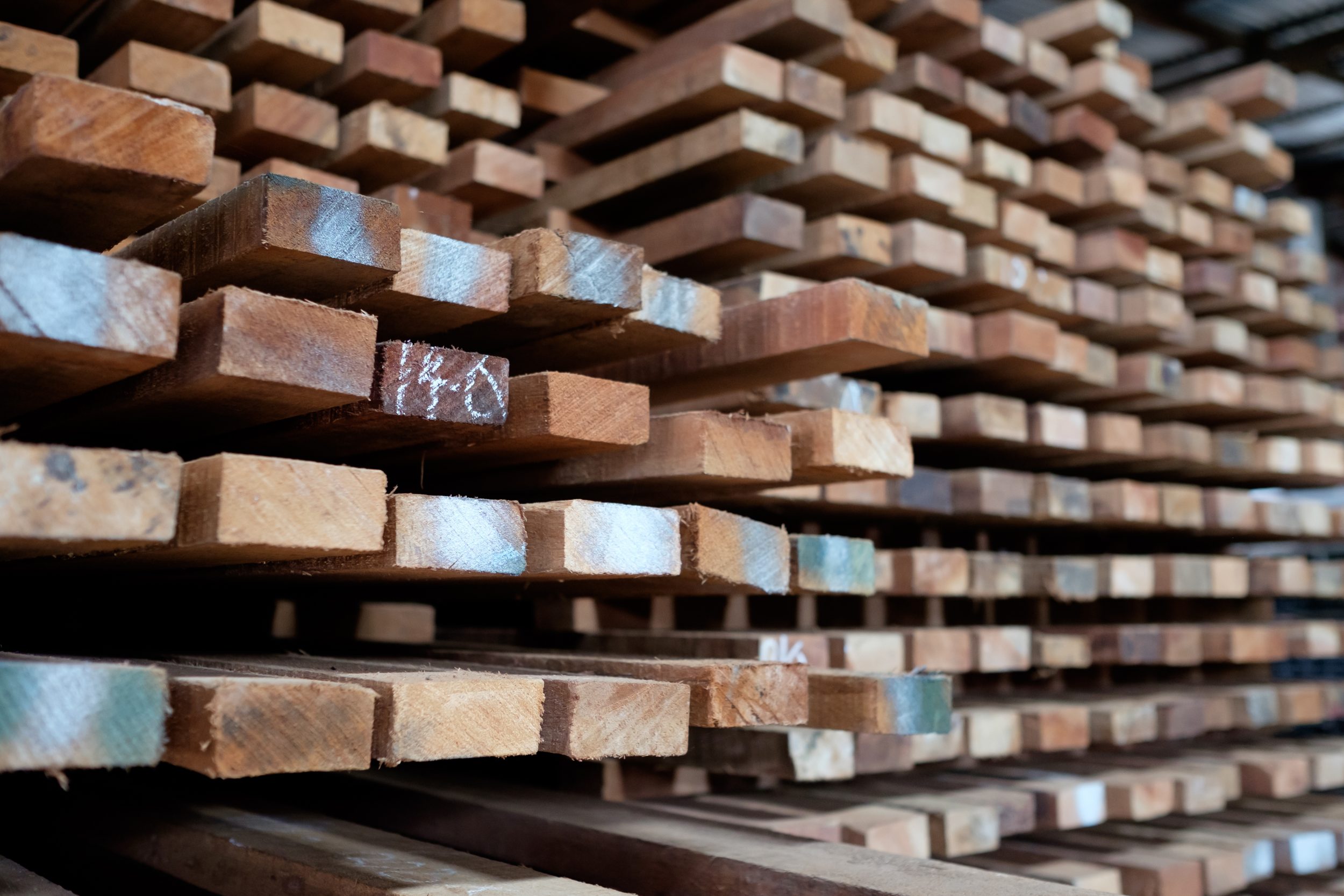 Photo de madriers dans une scierie pour illustrer un article sur la construction en bois.