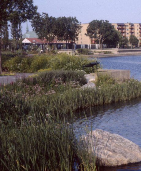 La rivière Saint-Charles à l’embouchure de la rivière Lairet en 1997