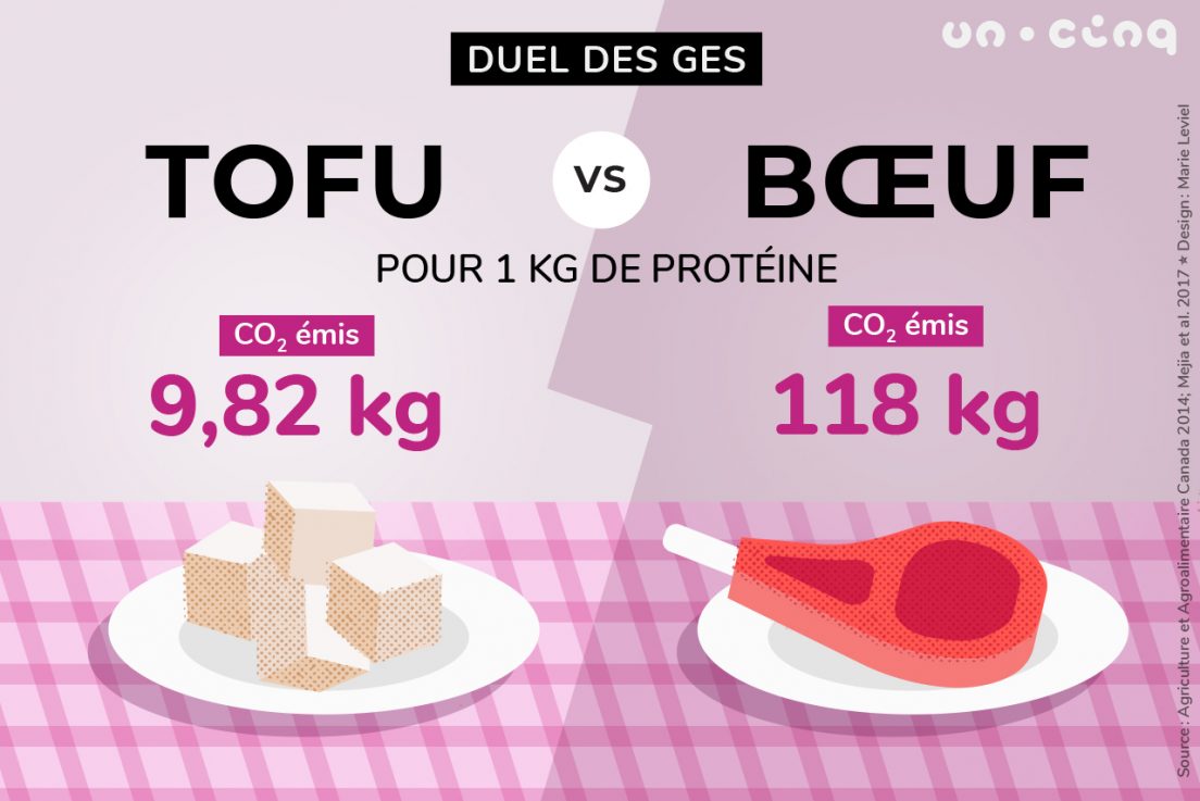 tofu vs boeuf duel de ges
