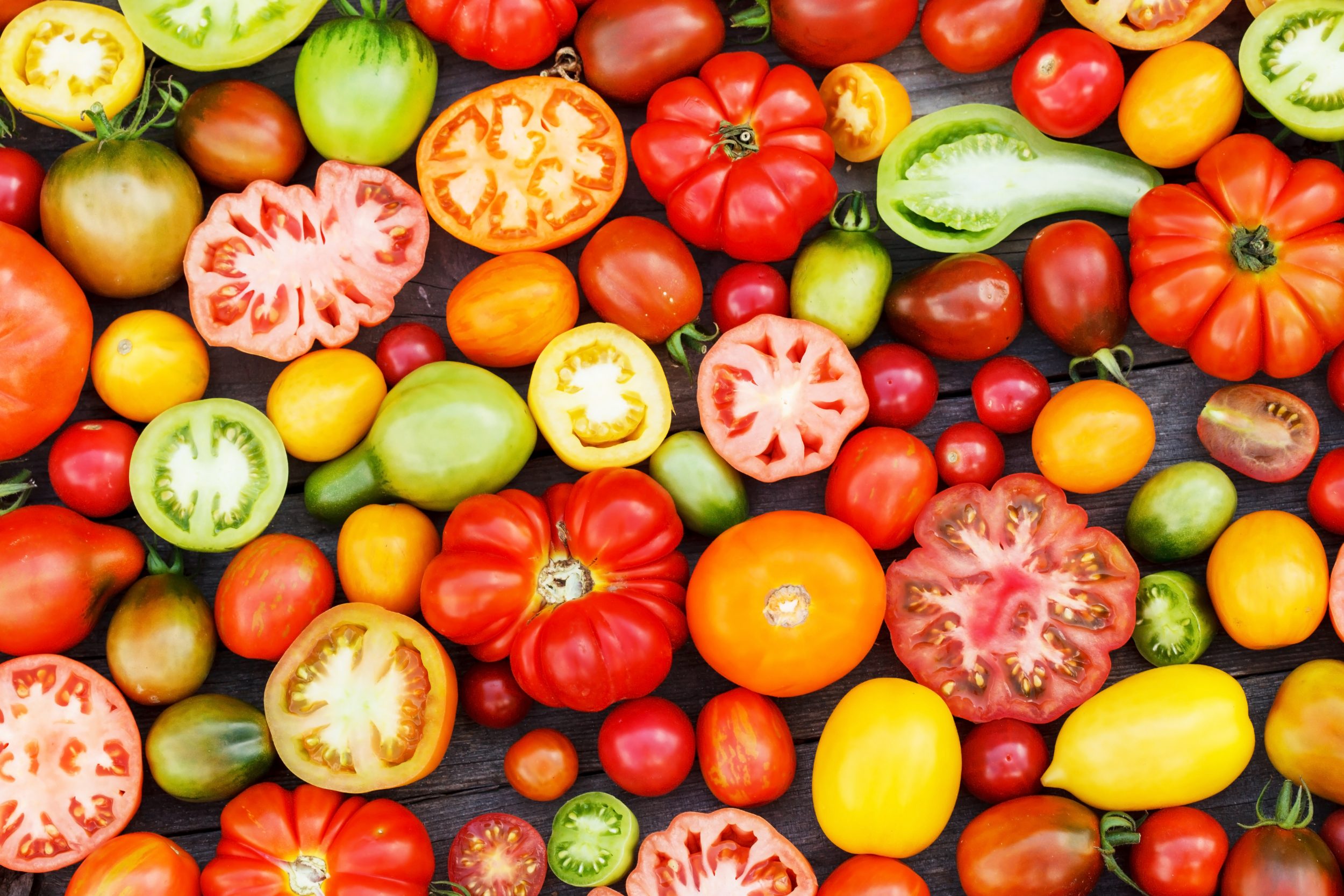 Photo de diverses variété de tomates pour illustre un article sur le poids carbone des tomates du Québec et du mexique