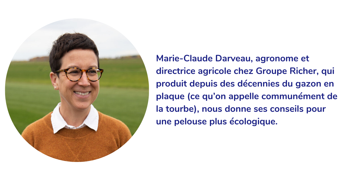 Marie-Claude Darveau, agronome et directrice agricole chez Groupe Richer, qui produit depuis des décennies du gazon en plaque (ce qu’on appelle communément de la tourbe), nous donne ses conseils pour une pelouse plus écologique.