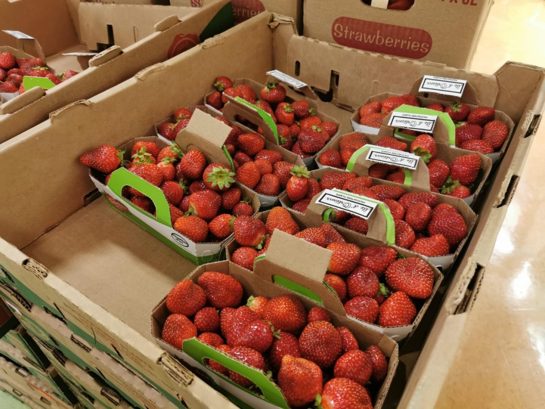 emballage alimentaire, fraises, emballage, compost, plastique, fraises, épiceries,