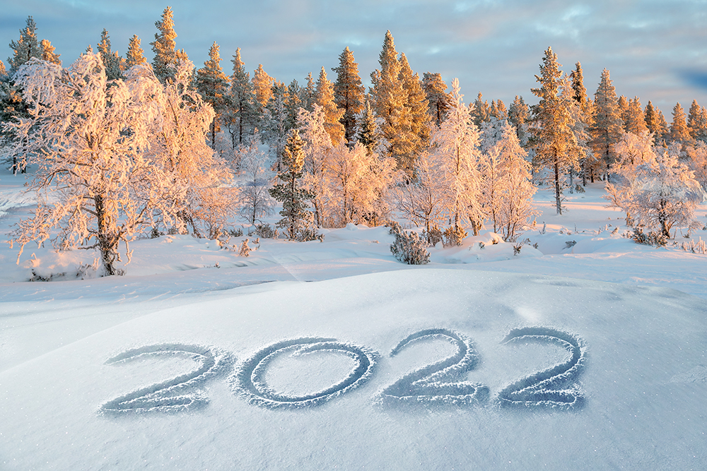 Bonne année 2022, 2022, résolutions, nouvel an, nouvelle année, résolutions climatiques, transport, vélo d'hiver, achat local, consommation de viande,