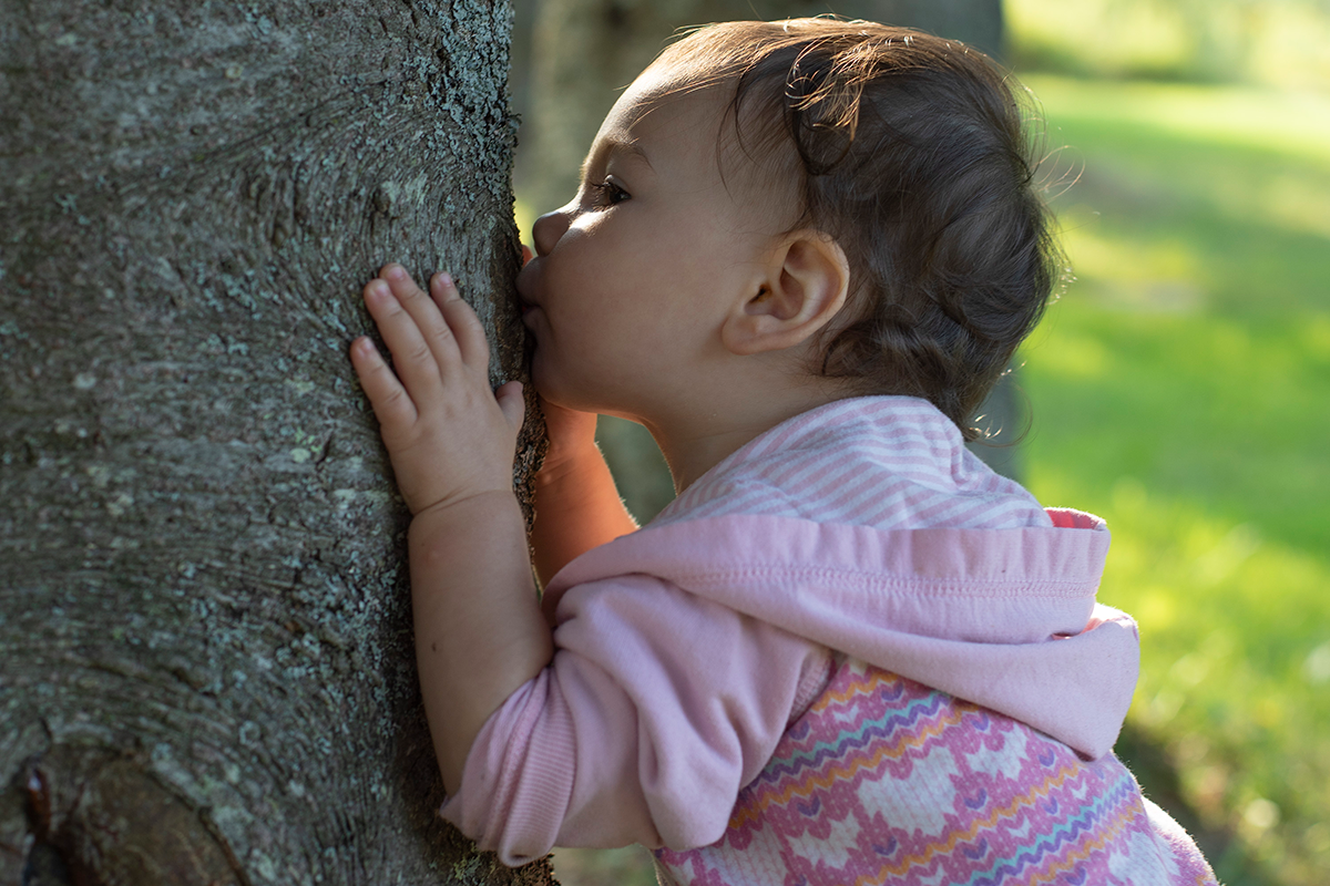 Enfant qui embrasse un arbre