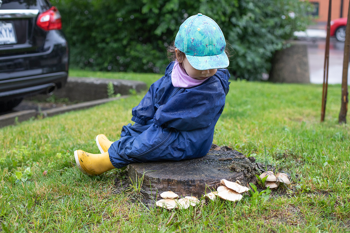 Enfant regarde des champignons