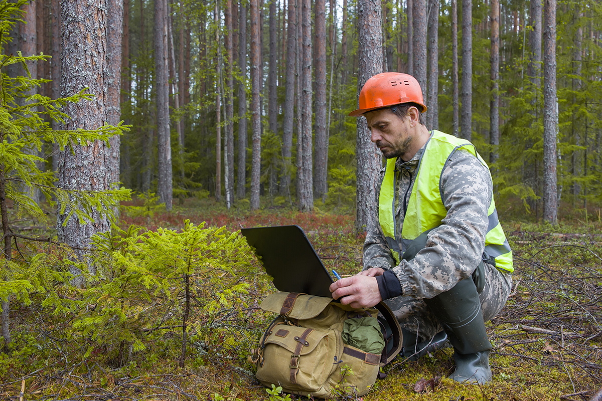 L'ingénieur forestier travaille dans la forêt sur un ordinateur.