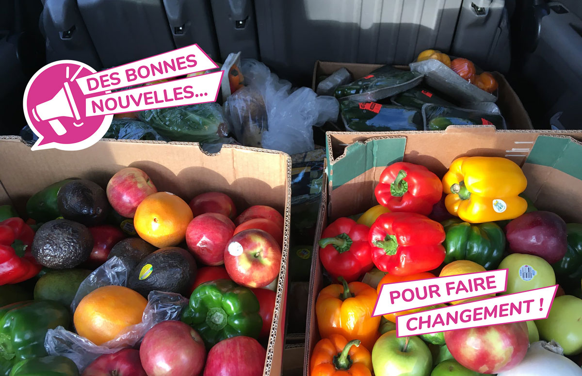 Des fruits et légumes sauvés de la poubelle © Circuit Alimentaire de Verdun