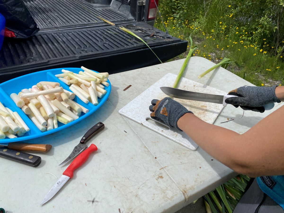 Les tiges de quenouilles sont coupées pour ne conserver que le cœur de la plante, qui peut être mariné ou utilisé tel quel dans des salades.